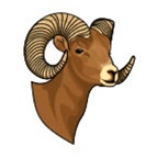 Picture of Ram - Stock Temporary Tattoo