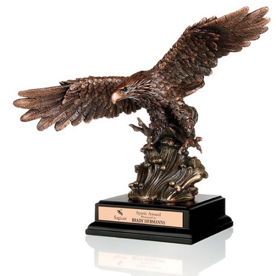 Picture of Soaring Heights Award