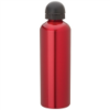 Picture of 33.8 oz. Domed Sport Flask