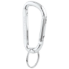 Picture of Carabiner Key Tag