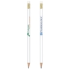 Picture of BIC Ecolutions Evolution Pencils