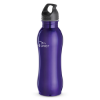 Picture of 25 oz. Curvaceous Stainless Bottle