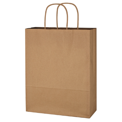 Kraft Paper Brown Shopping Bag - 10" x 13" Kraft Paper Brown Shopping Bag - 10" x 13"