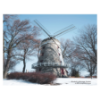 2020 Reflections Wall Calendar