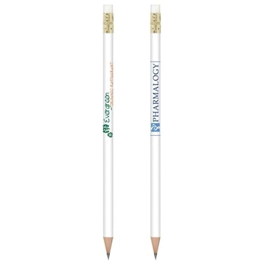 Picture of BIC Ecolutions Evolution Pencils
