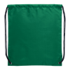 Oriole Drawstring Bags Green