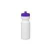 BB24 Sports Bottles w/ Purple Lid