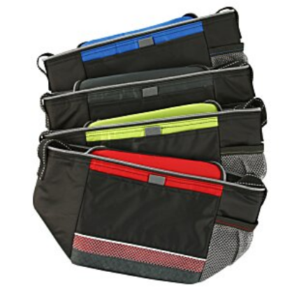 Icy Bright Lunch Cooler Icy Bright Lunch Cooler