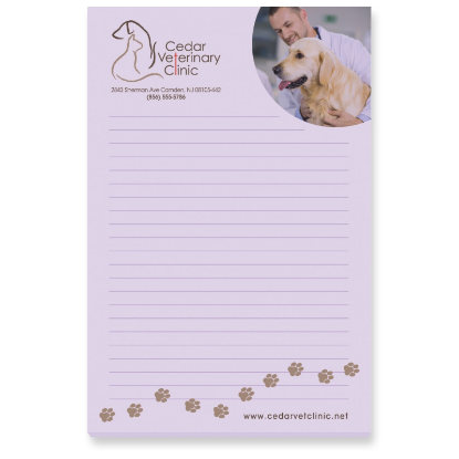 BIC 4" x 6" Adhesive Notepad, 50 Sheet Pad BIC 4" x 6" Adhesive Notepad, 50 Sheet Pad