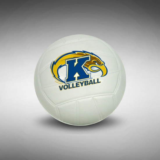 4" Mini Nerf Foam Volleyball