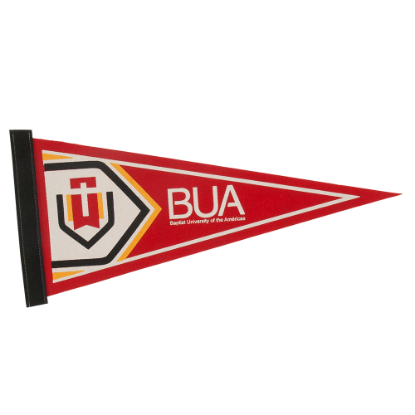 Pennants