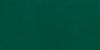 Forest Green Felt PMS 3425U