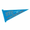 8" x 18" Colored Felt Pennant Columbia Blue