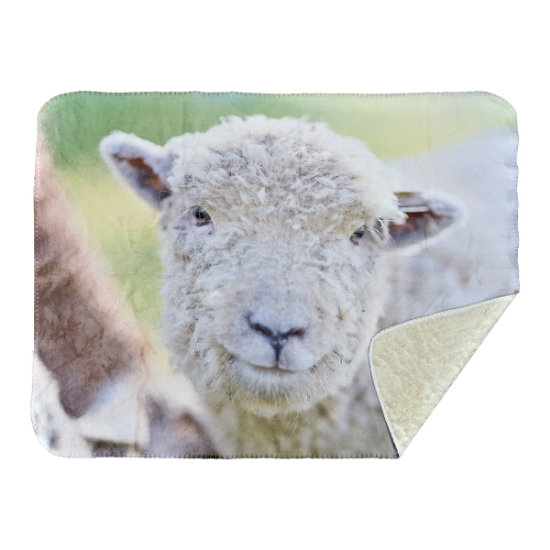 Picture of 30" X 40" Faux Mink Suede Blanket