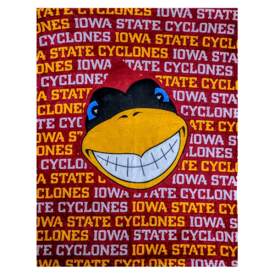 Picture of 60" X 80" Blanket