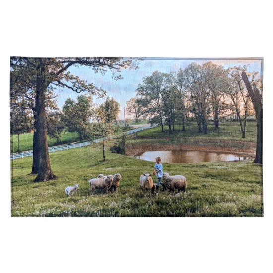 Picture of 20" X 31" Indoor Rug