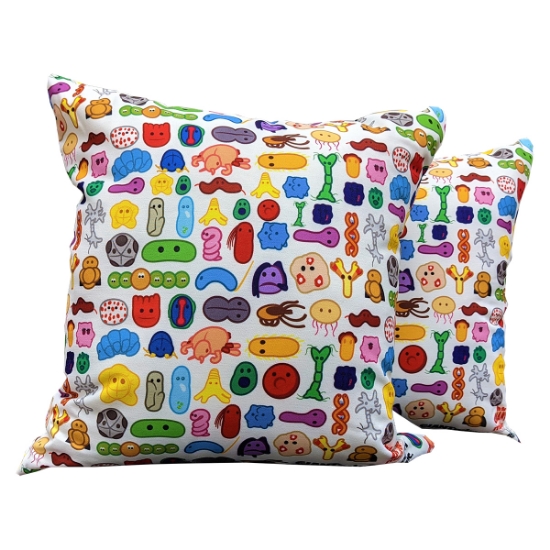 Picture of Small Full Color Throw Pillow