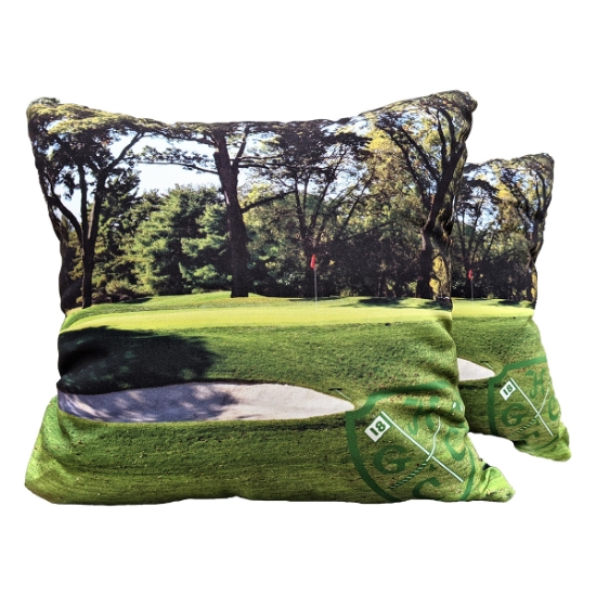 Picture of Medium Full Color Throw Pillow