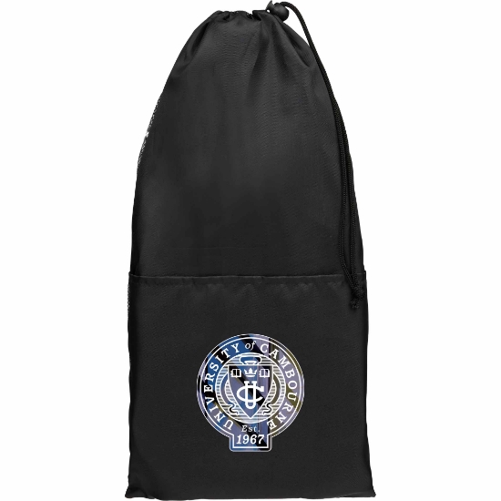 Picture of Premium Pickleball Paddle Set