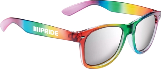 Picture of Rainbow Sun Ray Sunglasses