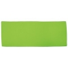 CPCR41087 lime cloth