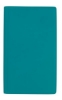 V9199 teal image