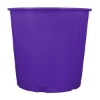 VOUT050_Purple