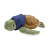 VAUR012 Turtle