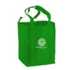 B128_green_bag_1c.png