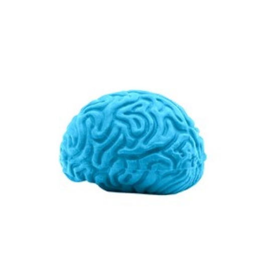 34803 brain blue image