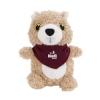 70005_gopher_bandana_front_1c.jpg