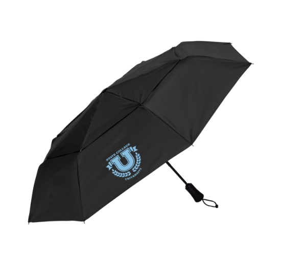 Shed Rain™ WindPro® 43" Vented Auto-Open/Close Compact Umbrella - Black