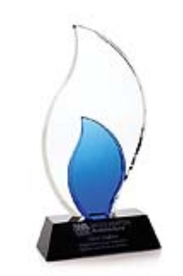 Trailblazer Award - Eng