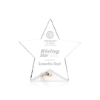 Shaper Award - Star