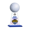 Victory Award - Volleyball