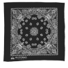 Garyline® 22" Bandana with Stock Paisley Pattern - Black