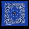 Garyline® 22" Bandana with Stock Paisley Pattern - Blue