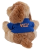 Chelsea Teddy Bear™ Bo - 8" Plush - Shirt