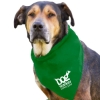 Garyline® Large Triangle Doggie Bandana - Green