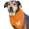 Garyline® Large Triangle Doggie Bandana - Orange