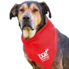 Garyline® Large Triangle Doggie Bandana - Red