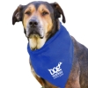 Garyline® Large Triangle Doggie Bandana - Royal Blue