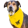 Garyline® Large Triangle Doggie Bandana - Yellow