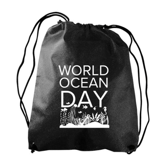 Garyline® Recruit Non-Woven Drawstring Backpack - Black