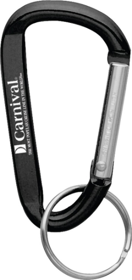 Small Carabiner Key Ring - Black