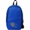 Barton Recycled Sling Backpack - Royal