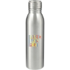 Vida 24oz Stainless Steel Bottle - Silver