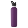 20 oz Basecamp Mesa Tundra Bottle with Screw Top and Flip-Top Straw Lid - Eggplant