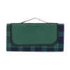 Playful Plaid Picnic Blanket - GRN-BL_Green_blue