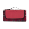 Playful Plaid Picnic Blanket - Red